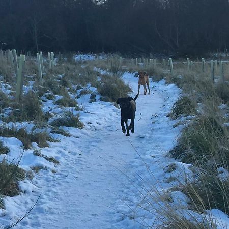 Aviemore Highlands No82 Екстериор снимка