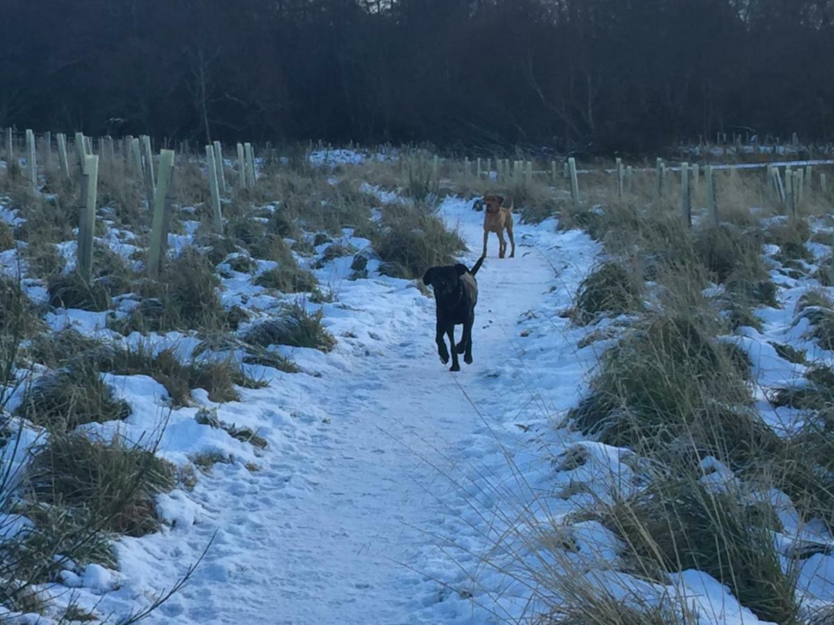 Aviemore Highlands No82 Екстериор снимка